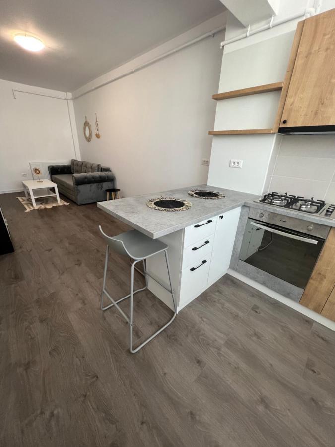 Sunny Apartments Suceava 64 Exterior foto
